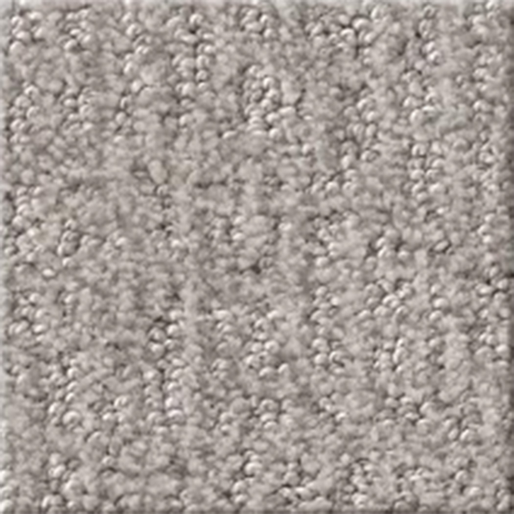 shaw sculpture carpet