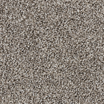 Beaulieu putty grey carpet