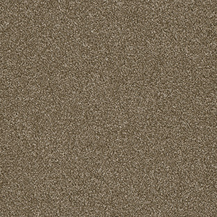 quail engineered floor