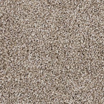 shammy Beaulieu carpet